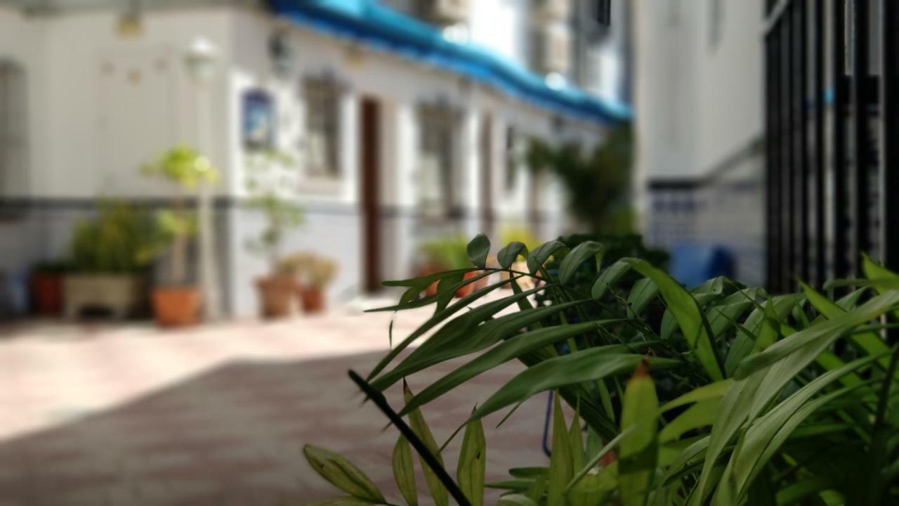 Casa de hóspedes La Luna *